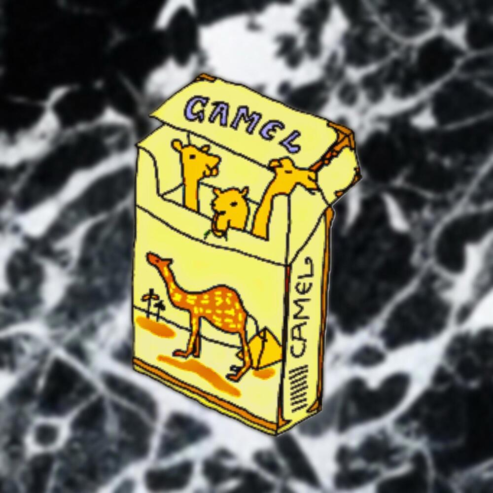 Camel Cigarette Box Bumper Sticker car toolbox fridge window guitar Laptop 3in